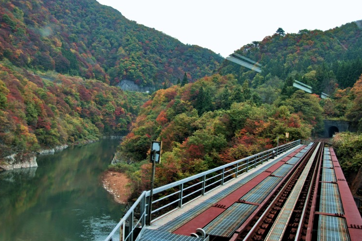 跟著黃國華遊日本 在遠方看見自己紅葉班車jr只見線 信傳媒