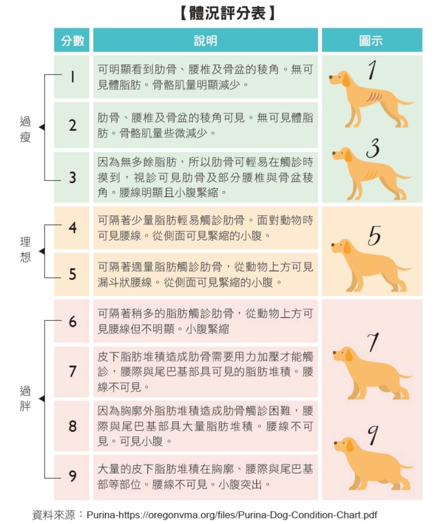 不小心吃太胖 獸醫師教你算出毛小孩一天所需的熱量 信傳媒